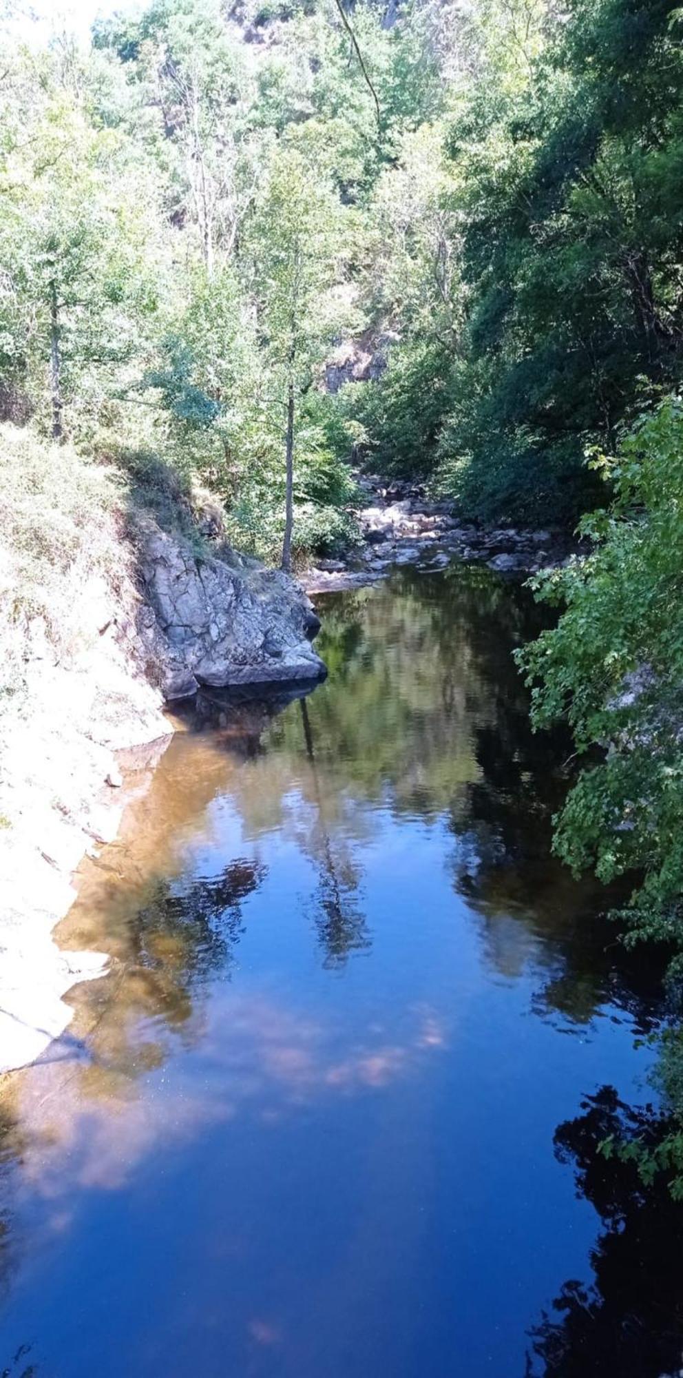 Au Fil De L' Eau Leilighet Aurec-Sur-Loire Eksteriør bilde